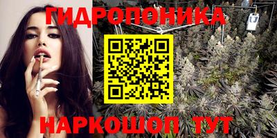 индика Волжск