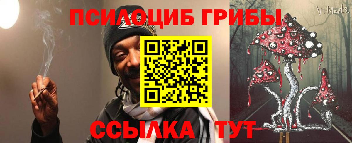 Псилоцибиновые грибы GOLDEN TEACHER Нижний Тагил