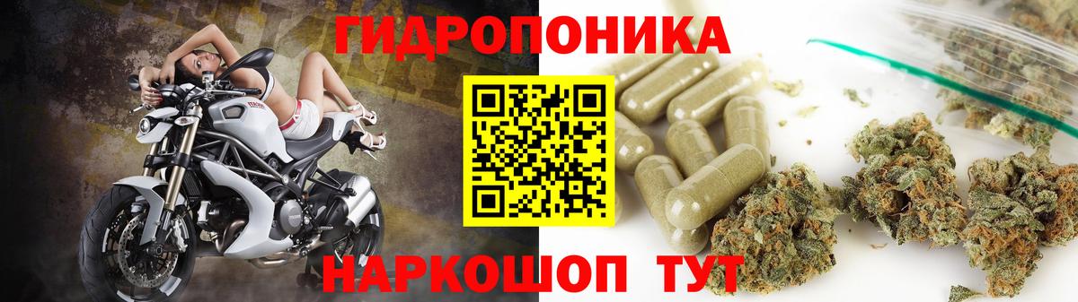 Марихуана конопля  Вход с VPN  Конопля конопля  Каннабис White Widow  Нижний Тагил 